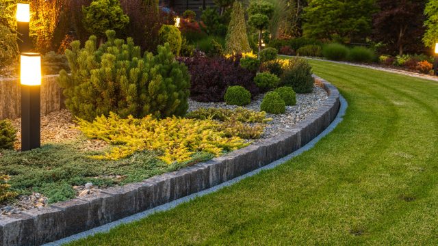 Home Decor and Garden